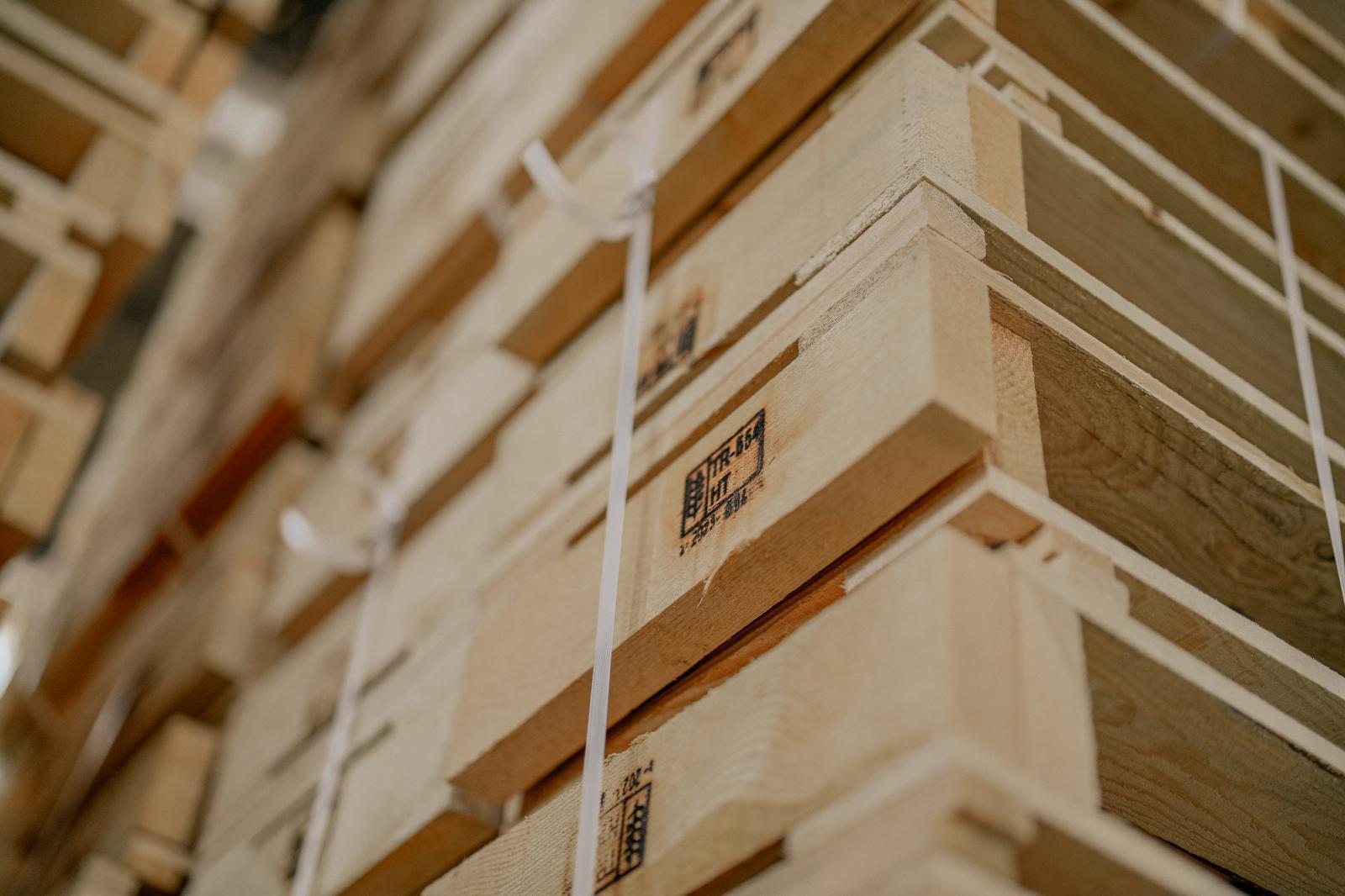 WhatsApp Image 2025-03-11 at 13.44.47