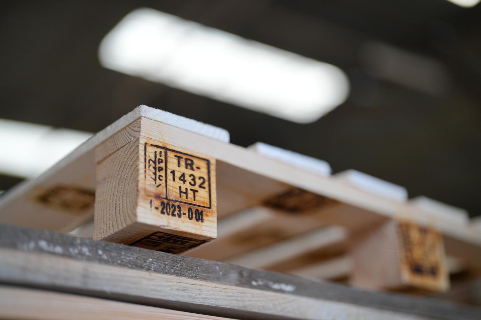 WhatsApp Image 2025-03-11 at 13.46.00 (1)