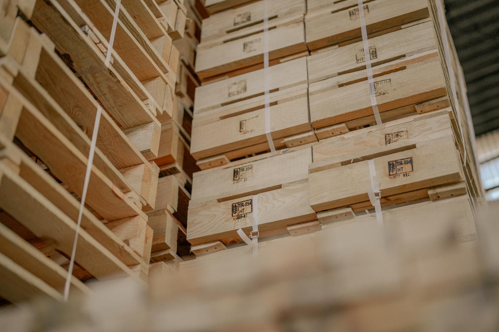 WhatsApp Image 2025-03-11 at 13.46.00 (2)