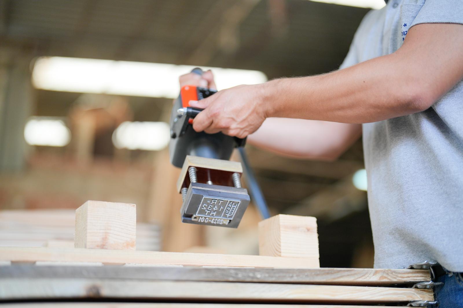 WhatsApp Image 2025-03-11 at 13.46.31 (1)