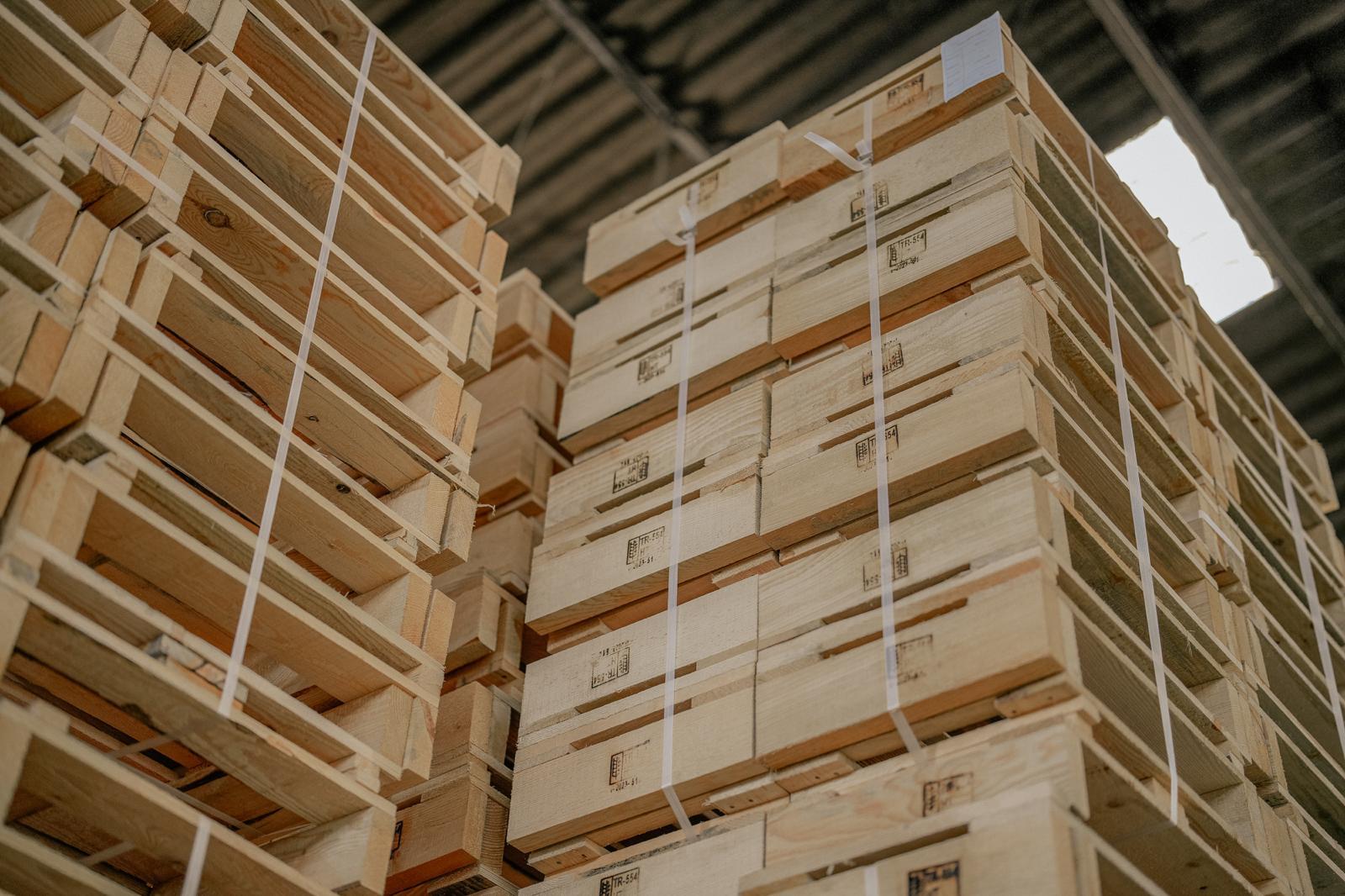 WhatsApp Image 2025-03-11 at 13.46.31 (2)